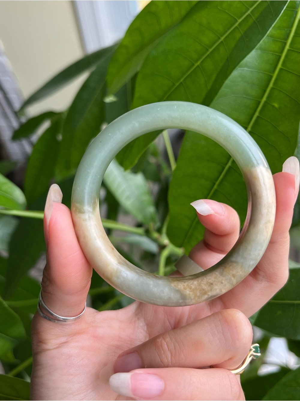 Xiu Jade Bangle Bracelet Lake & Mountain - XS D: 49.5-49.6mm